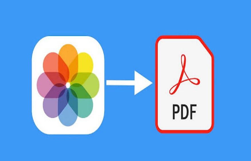 Customize Your PDF